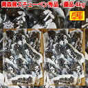 青森県産スチューベンぶどう ご家庭用 優品・秀品 4kg 送料無料!