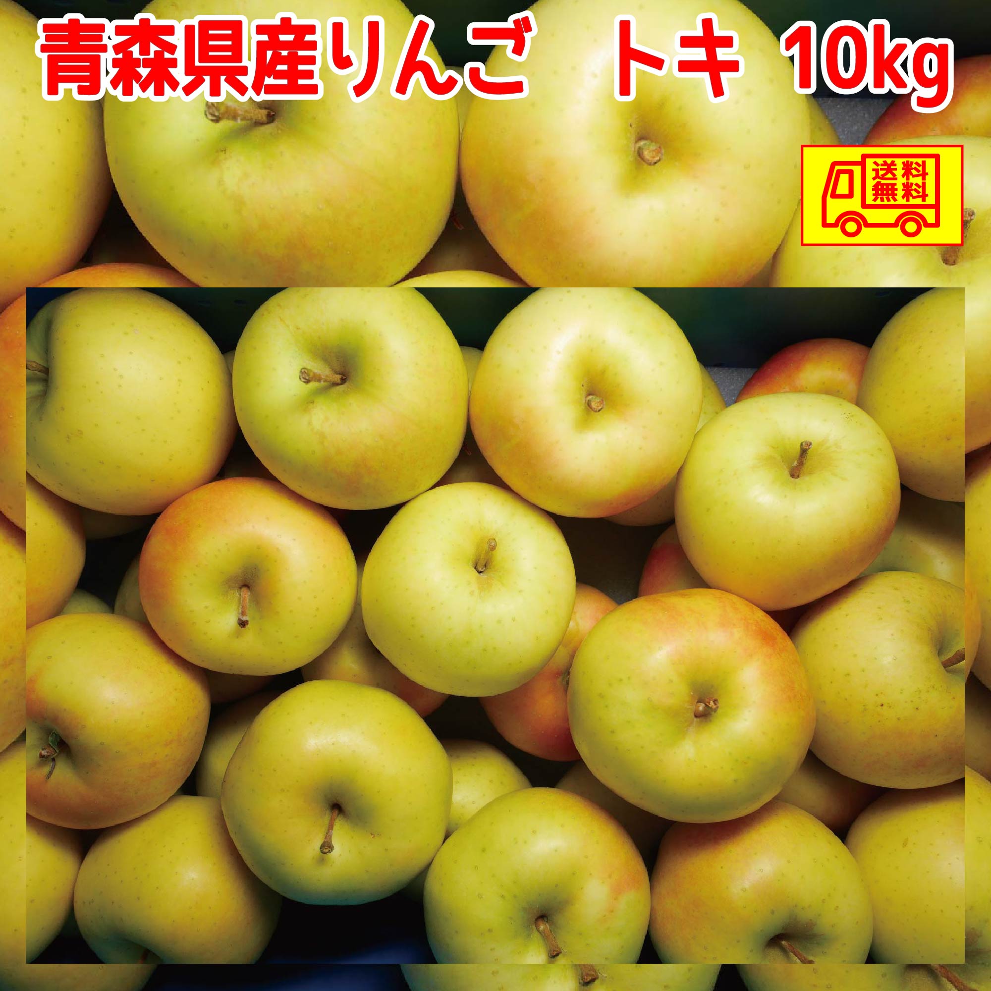 青森県産 りんご ご家庭用 トキ 4kg、5kg、10kg 送料無料!