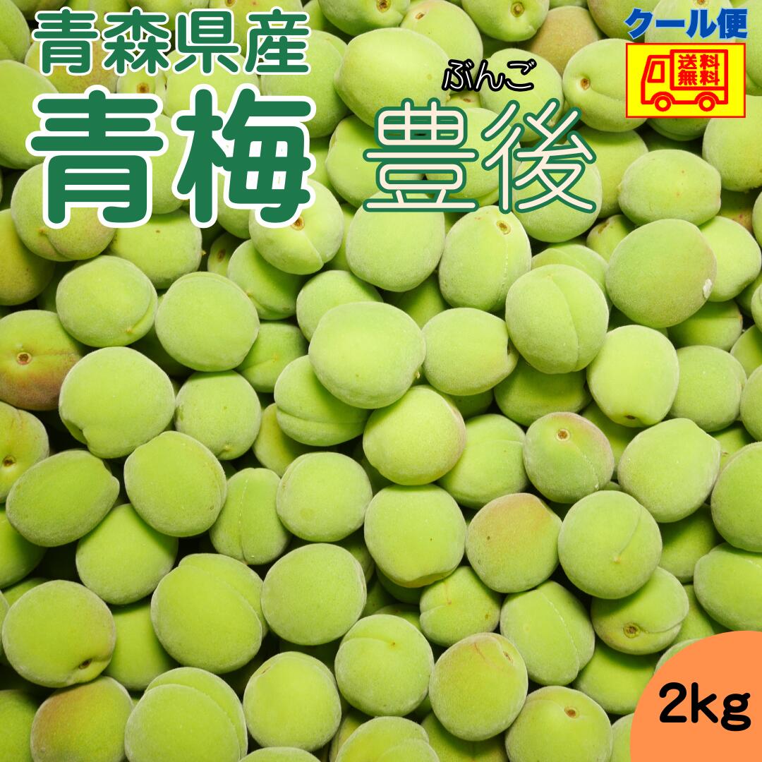 クール便込み　青森県産　青梅　2kg　　送料無料！のサムネイル