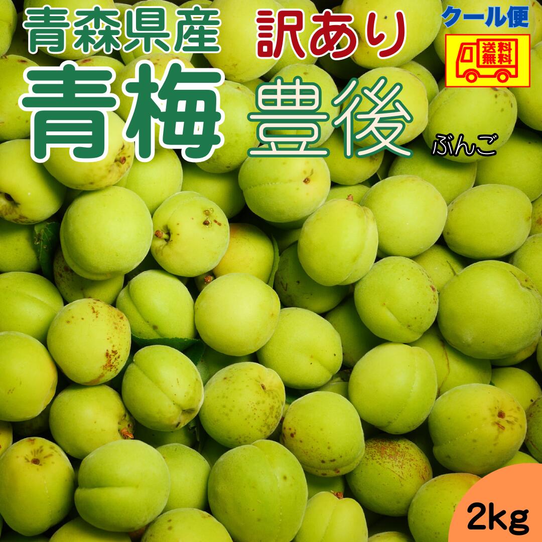 楽天市場】2kg 青梅の通販 楽天市場】2kg 青梅の通販