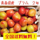 クール便 青森県産プラム すもも 2kg クール送料無料!