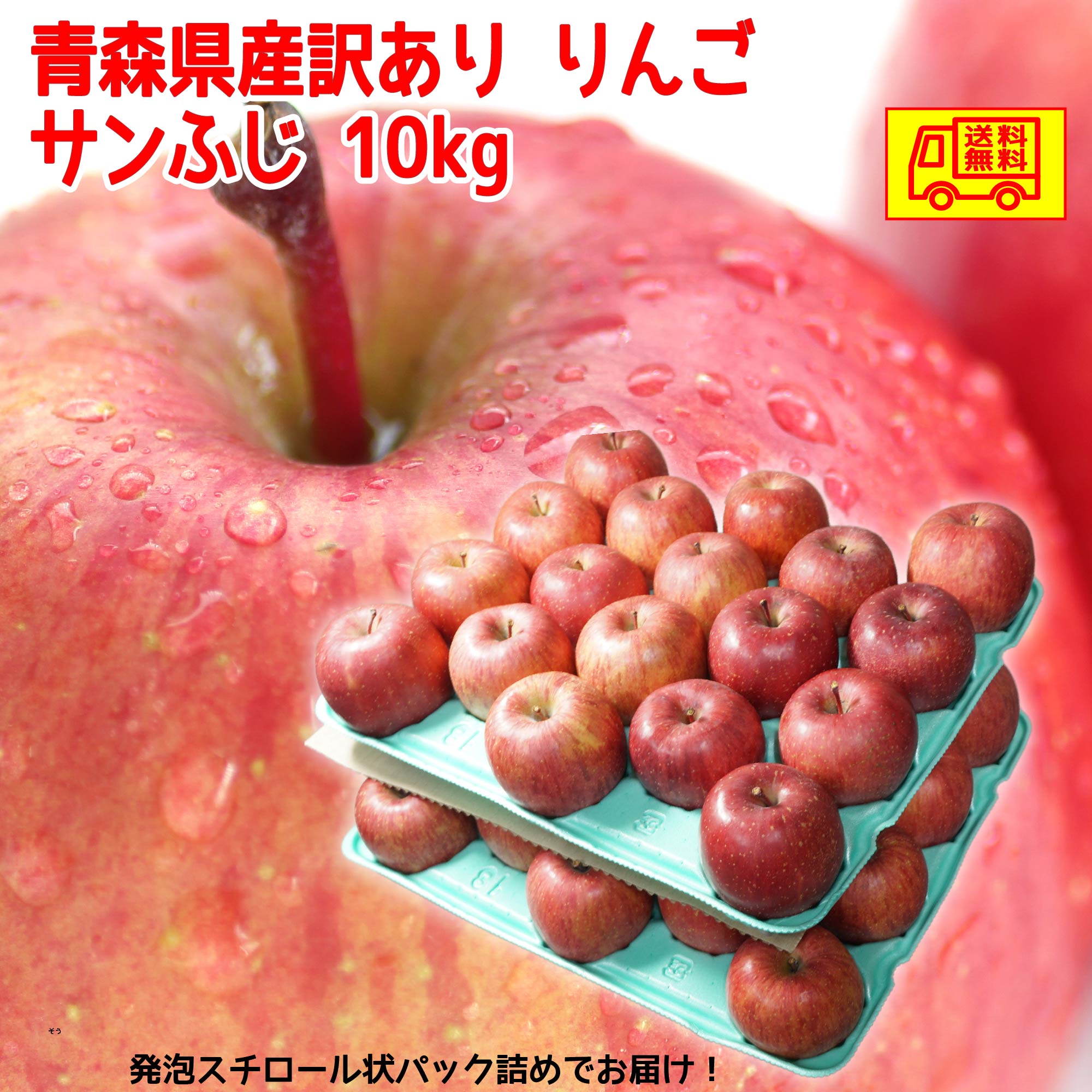 青森県産 りんご サンふじ 訳あり 10kg 送料無料!