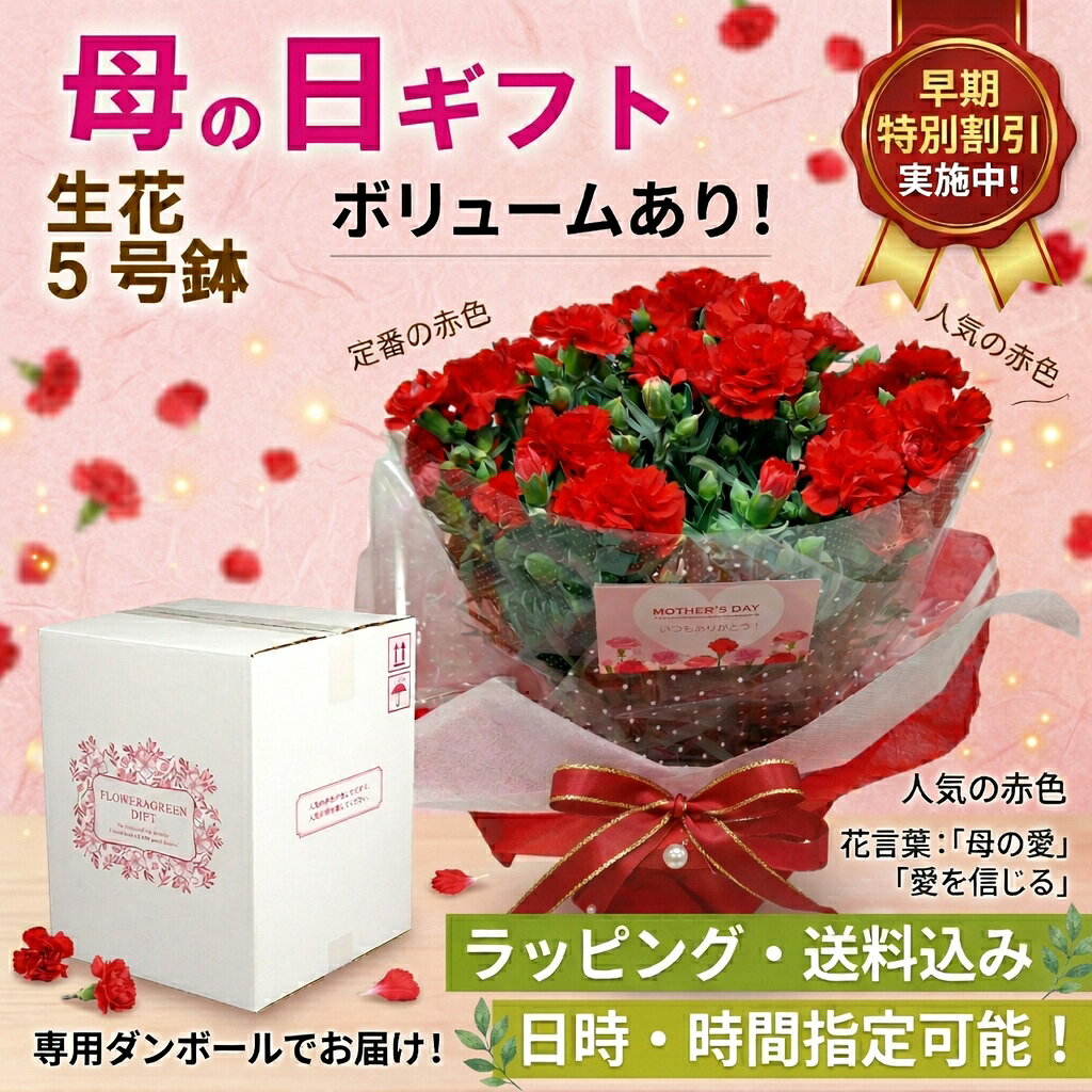 母の日　カーネーション　生花　ラッピング込み！5月10日指定可能！送り主指定可！5号鉢でボリュームあり！送料無料！
