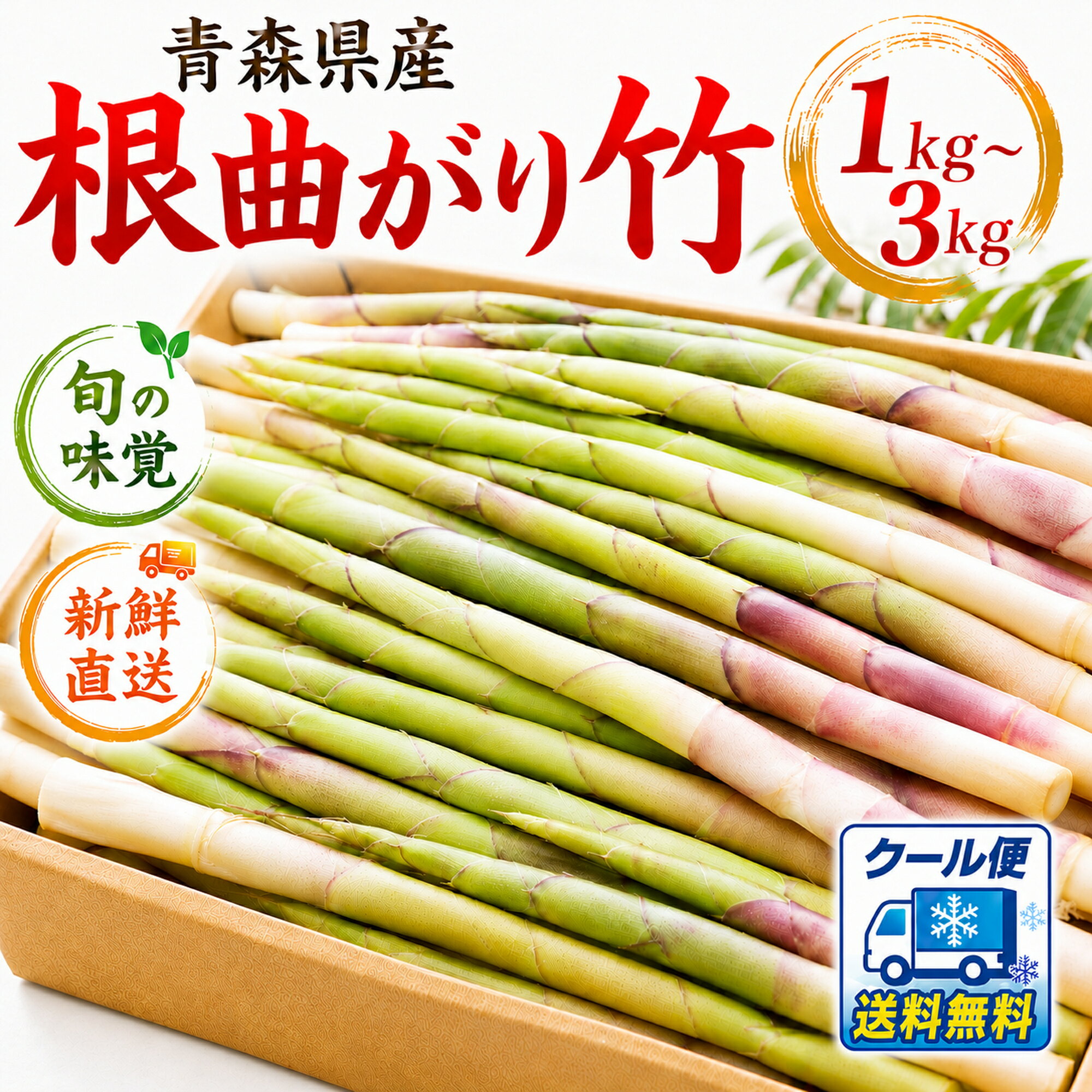 楽天市場】根 曲がり 竹 缶詰の通販