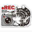 ダヤン 雑貨 わちふぃーるど ステッカー REC#4 日本製 猫 猫柄 猫好き 猫雑貨 猫グッズ ネコ ねこ 猫のダヤン かわいい ダヤングッズ ギフト 公式