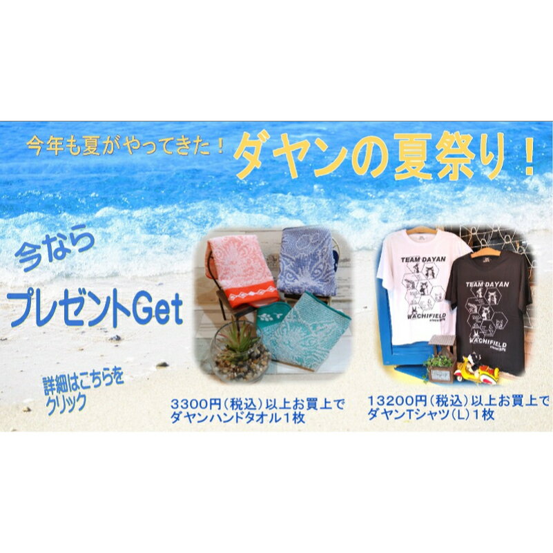 【ノベルティグッズ紹介ページです】わちふぃーるど ダヤン プレゼント企画紹介 タオル Tシャツ 猫好き ギフト