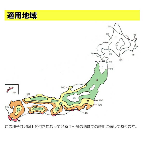 種子バミューダグラス100g