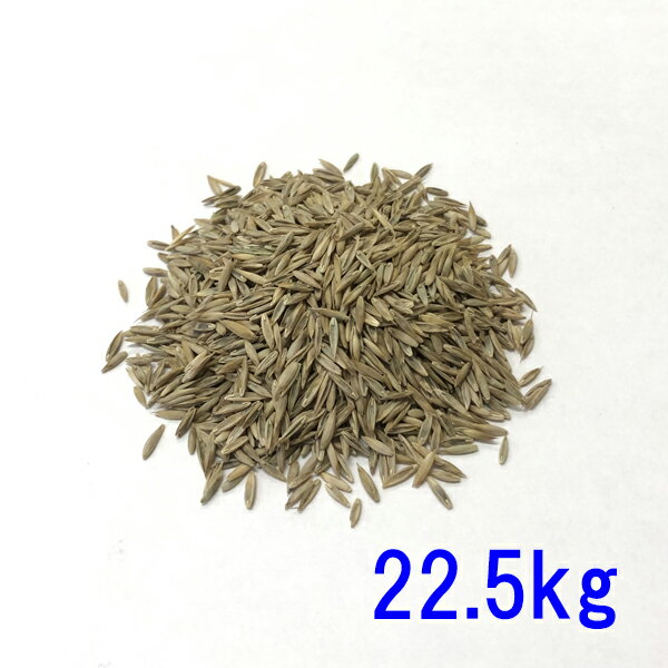 種子 トールフェスク ダイナマイトG-LS 22.5kg