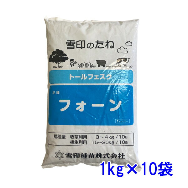 【楽天スーパーSALE 6月4日20時～10％OFF】ペレニアルライグラス マンハッタン7 5kg (1kg×5袋) タキイ種苗 タネのタキイ 芝種 送料無料 代金引換不可