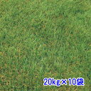 種子 クリーピングレッドフェスク カージナルII 20kg×10袋