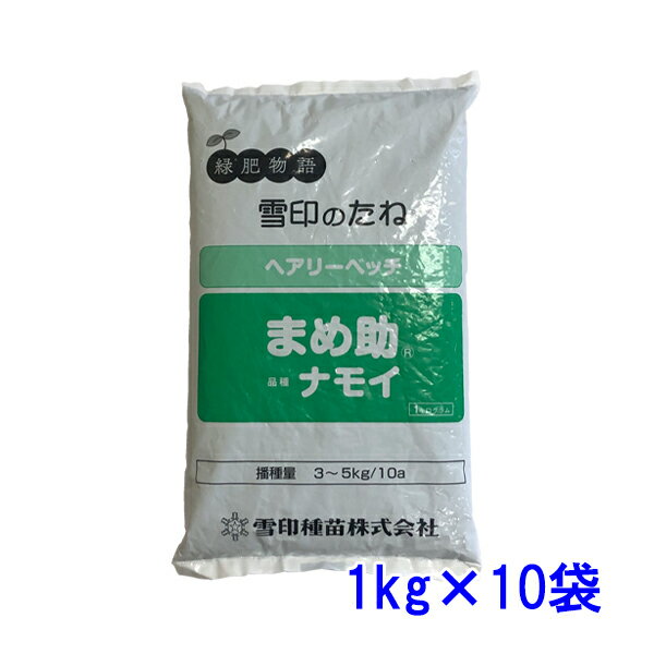 まとめ買い 2袋入 緑肥用ひまわり ジュニアスマイル BSA564 0.5kg タキイ種苗 タネのタキイ 景観緑肥種 送料無料 代金引換不可