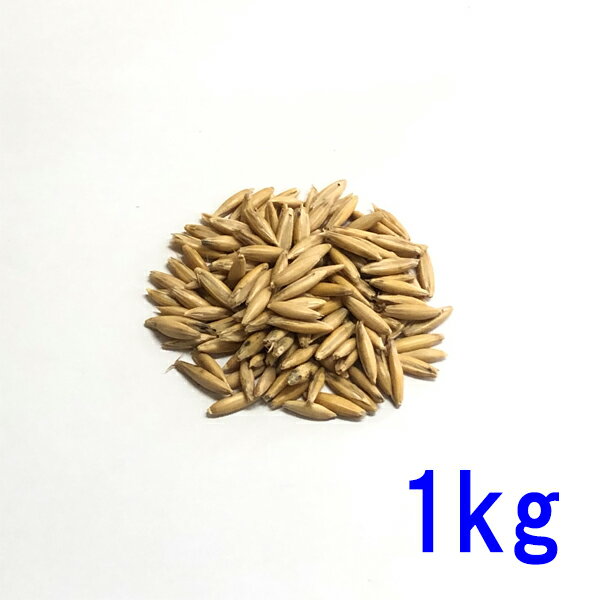  (ĥإ) ̤Ĥ 1kg