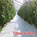 防草シート ルンルンシート 白ピカ 100cm×100m 小泉製麻【個人宅・現場発送不可】