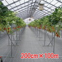 防草シート ルンルンシート 白×黒 200cm×100m 小泉製麻【個人宅・現場発送不可】