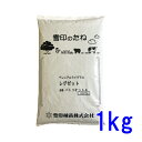 種子 ペレニアルライグラス レグゼット 1kg