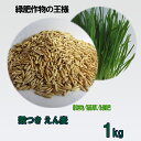 種子 えん麦(オーツヘイ) 殻つき 1kg