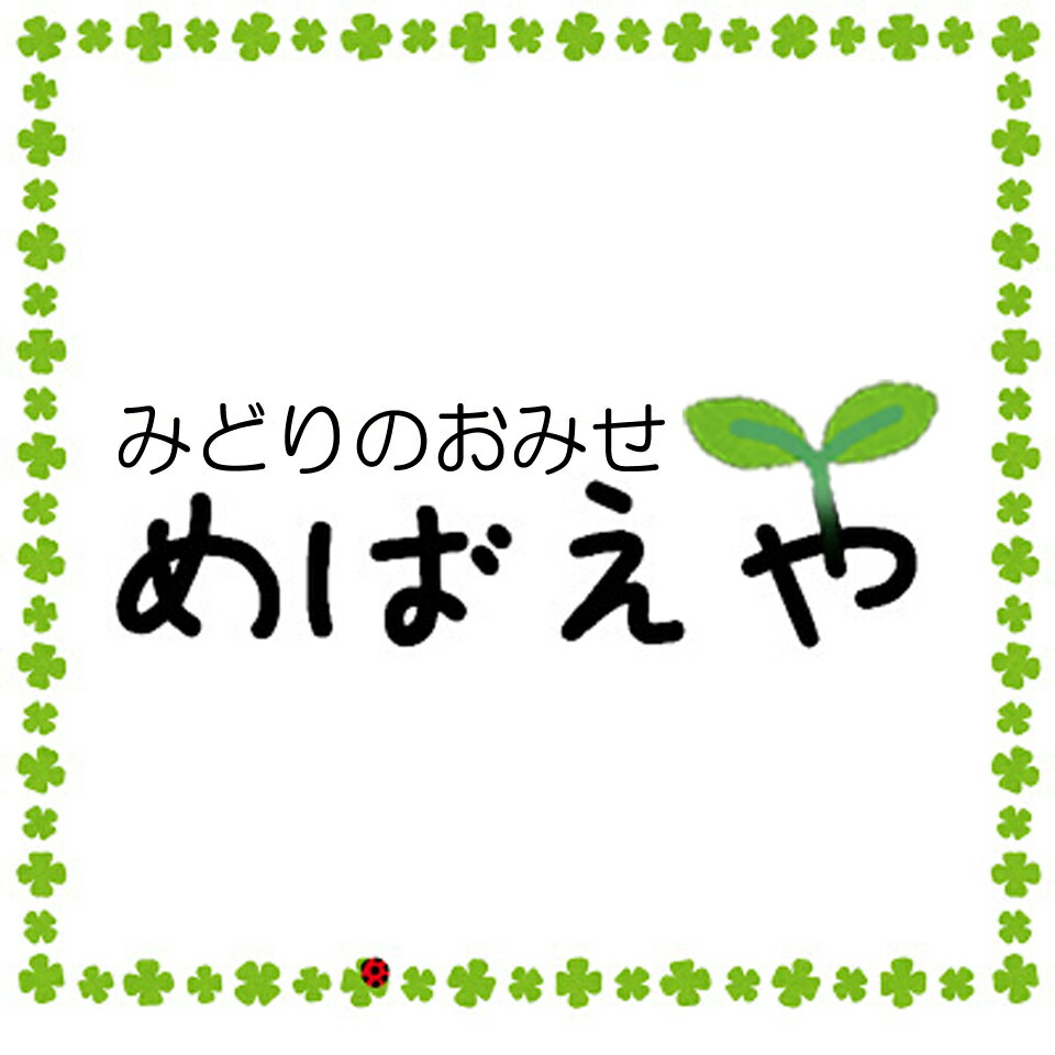 Shop icon