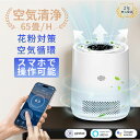 空気清浄機 花粉対策 花粉症対策 空気循環 PM2.5 3段階切替 スマホ遠隔操作 小型 脱臭機 除菌 消臭 静音 卓上 省エネ 寝室 台所 6畳 花粉症 最安...