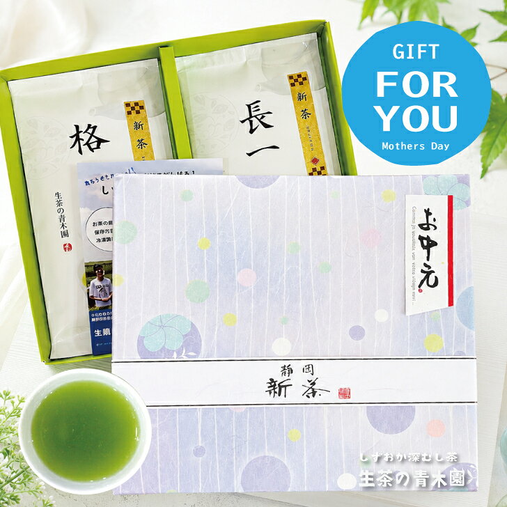 お中元 静岡茶 ギフト プレゼント 緑茶 茶葉 新茶 お茶 御中元 日本茶 お誕生日 おくりもの 記念日 お祝い お供 快気祝い 静岡茶 100g 2本 静岡県産 深蒸し茶 緑茶 濃いお茶セット お茶ギフト 日本茶 贈り物 贈答用 お茶葉 のし付け