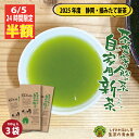 【6/5限定 半額】スーパーSALE 超半額 2025 新茶 【家庭用にちょっと良い お茶】 静岡 緑茶 茶葉 100×3本 300g お茶 茶葉 自宅用 日本...