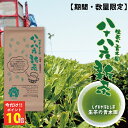 ポイント10倍【2025 予約 静岡 新茶 深蒸し茶】八十八夜 出来たて出荷 緑茶 茶葉 お茶 日本茶 濃くておいしい 八十八夜新茶 88g 深蒸し新茶 お茶ギ...