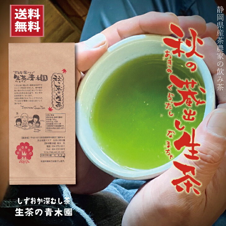 お茶 緑茶 茶葉 日本茶 静岡茶 深蒸し茶 濃いお茶 深むし茶 上級茶 直販でしか買えない我が家の自家用茶 新茶 80g 静…