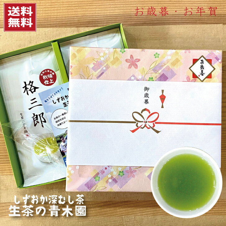 バレンタインギフトにも！【 お茶 静岡茶 ギフト 】2022年度 100g 2本 セット 静岡県産一番茶 深蒸し茶 飲みごたえのある濃いお茶のセット 緑茶 茶葉 お茶ギフト 贈答用 静岡県 送料無料 深蒸し茶 お土産 挨拶 引越し 新茶 緑茶 お祝い 日本茶 贈り物 手土産