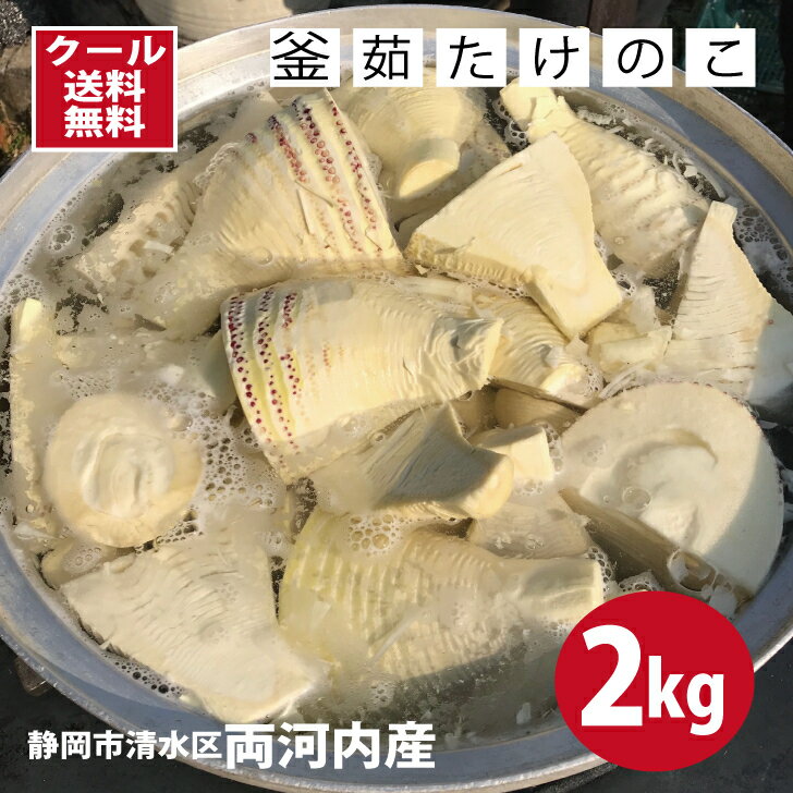 【2024完売 また来年】 堀りたて 釜茹で たけのこ 茹でタケノコ1kg×2（計 2kg) 絶対おいしい（静岡市清水区両河内産）掘りたてを速攻釜茹で！ お刺身で！ タケノコご飯に 筍の煮物に 春しか味わえない 柔らかいたけのこ クール便送料無料