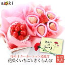 遅れてごめんね 母の日 花咲くいちごとさくらんぼアオキフルーツ[いちご カーネーショ
