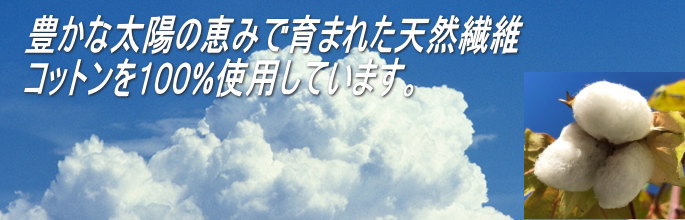 敷き布団カバー クイーン 165x205/165x210/165x215cm SWING COLOR 綿100% 日本製 国産生地 送料無料 ウォッシャブル 洗える ファスナー付き 蒲団カバー 自社生産 queen long クイーンロング【smtb-k】【ky】 3