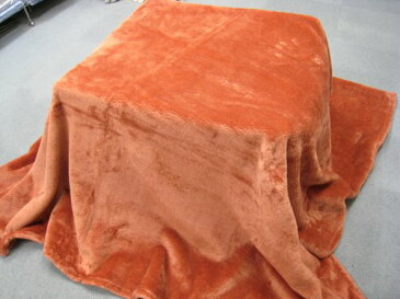 東京西川 こたつ毛布 正方形 190x190cm APG0602015 こたつ用 掛け毛布