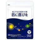 【指定第2類医薬品】音に喜びを