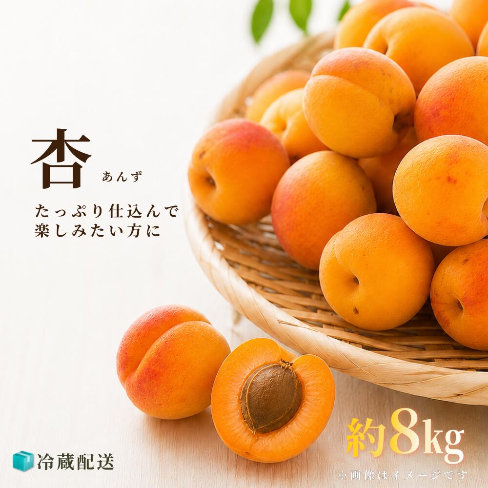 楽天市場】5kg（あんず｜フルーツ・果物）：食品の通販