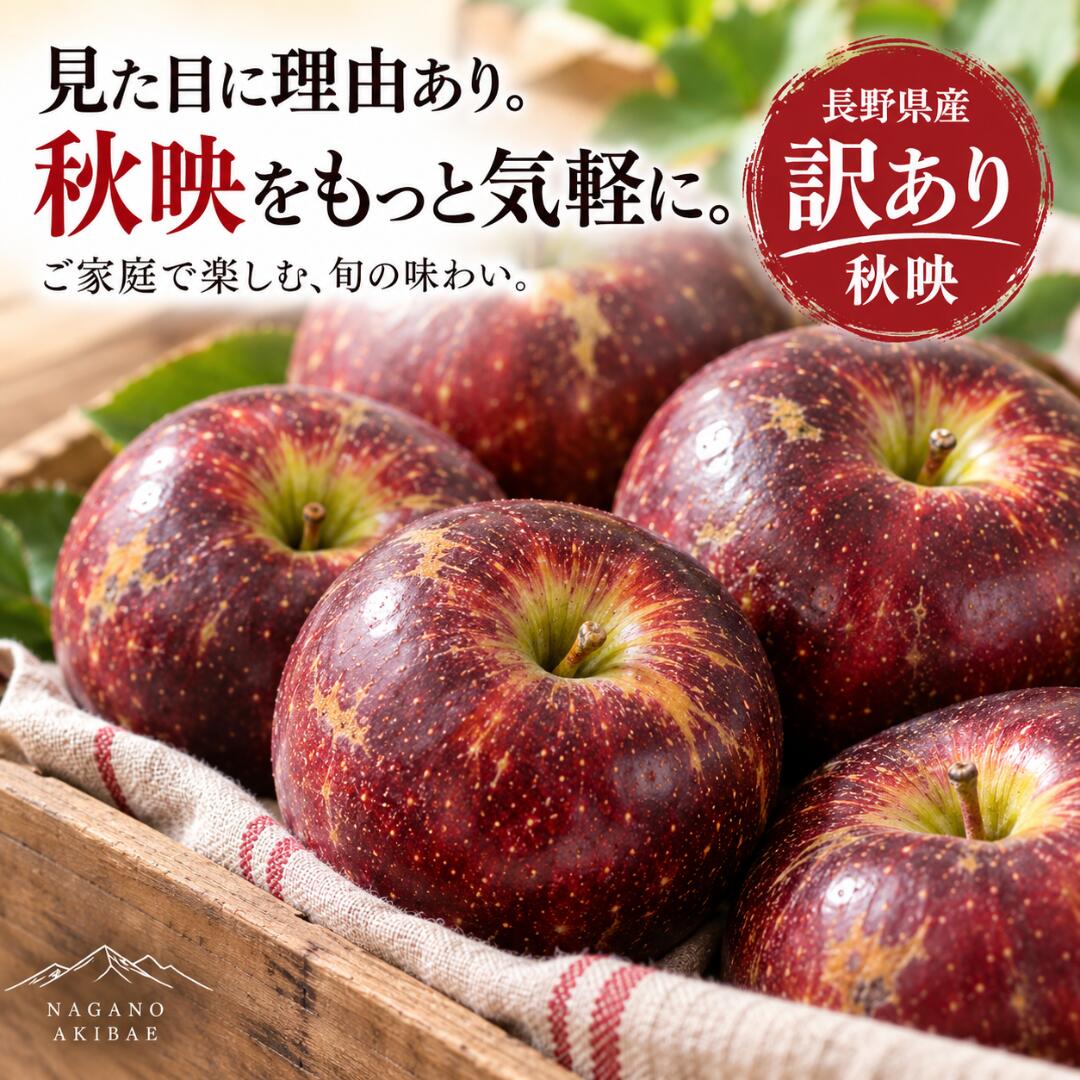 楽天市場】秋映 訳あり 10kgの通販