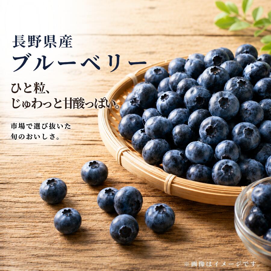 長野県産 生ブルーベリー 家庭用 500g 1kg 予約 クール便 甘い 旬 フレッシュ 冷蔵発送 7月中旬頃より順次発送 果物 フルーツ 生果実 お取り寄せ 夏の味覚 人気 新鮮 ジューシー 国産 生 冷蔵 果実 大容量 期間限定 冷蔵便 自宅用 家庭向け 夏限定 冷やして美味しい