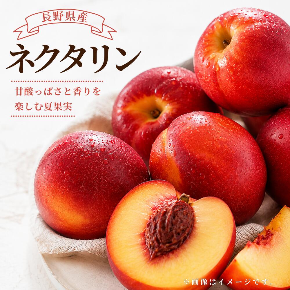 Rakuten - 予約 長野県産 ネクタリン 家庭用 1.5kg 3kg 4.5kg 送料無料 クール便 訳あり お取り寄せ 甘い 信州産 国産 秀峰 ファンタジア フレーバートップ スイートトップ メイグランド 倉島 2026