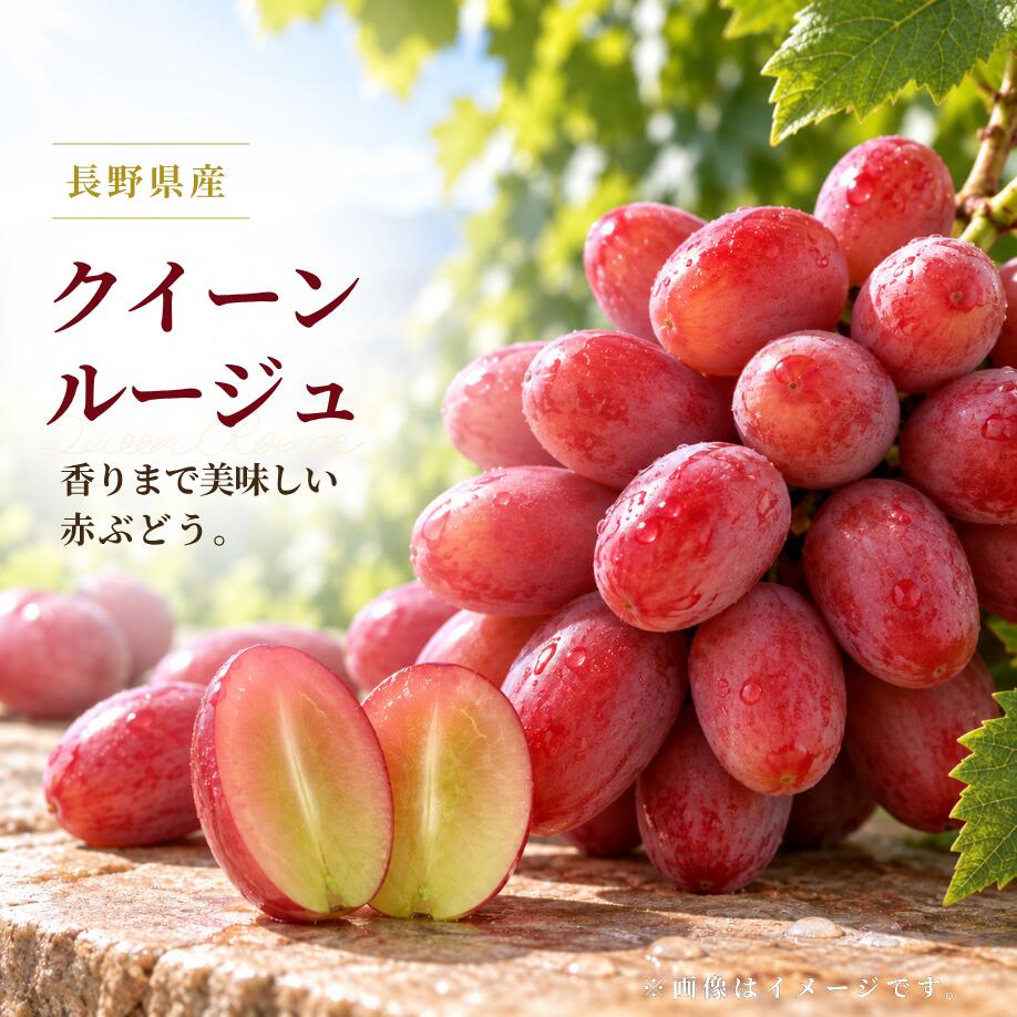 ブドウ｜フルーツ 箱込6 ゴルビー 山梨県産 悟紅玉 食品の通販 2️⃣