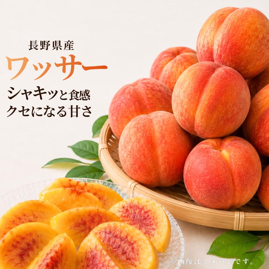 Rakuten - 予約 長野県産 ワッサー 家庭用 1.5kg 3kg 5kg 送料無料 クール便 桃 ネクタリン 希少品種 信州産 国産 甘い お取り寄せ 2026