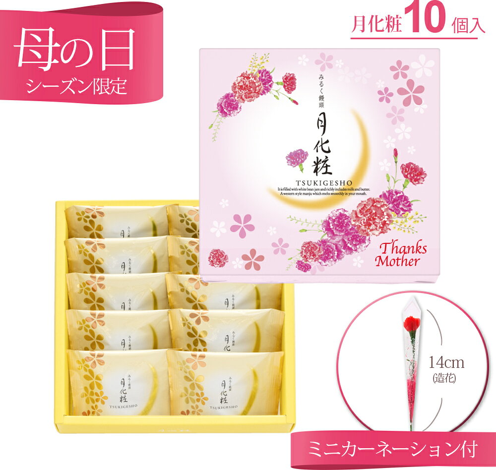 乐天商城 - 【P最大8倍★お買い物マラソン期間限定】 母の日 月化粧10個入り カーネーション(造花)付