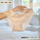 ショーツ レース シームレス ヒップハング パンツ 高級 ローライズ スタンダード 敏感肌可 レディース 綿 抗菌 防臭 セット 女性 マルチカラー系 レースパンツ 無地 綿 少女 下着 女性(4)