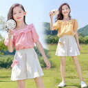 【期間限定10%OFF】子供服 セットアップ キッズ 女の子 半袖 2点セット 上下セット Tシャツ 薄手 ショートパンツ おしゃれ カジュアル 涼しい 可愛い...