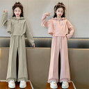 【期間限定10%OFF】子供服 セットアップ キッズ 女の子 長袖 春秋 上下セット トップス Tシャツ パーカー ロングパンツ 子供ジャージ スポーツウェア ...