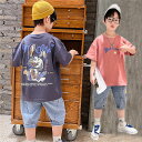 【時間限定10%OFF】子供服 セットアップ 夏 男の子 ジャージ キッズ 韓国子供服 上下セット 2点セット 半袖 Tシャツ パンツ ベビー服 男児 デニムパ...