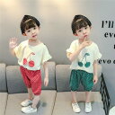 【時間限定10%OFF】子供服 セットアップ 韓国子供服 キッズ 女の子 上下セット 2点セット トップス 半袖 Tシャツ パンツ ストライプ ジャージ 可愛い...