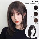 【時間限定10%OFF】ウィッグ セミロング ミディアム フルウィッグ 自然 ウイッグ レディース ストレート