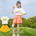 【時間限定10%OFF】セットアップ 韓国こども服 子供服 上下 2点セット 半袖Tシャツ トップス パンツ カジュアルパンツ サルエル 女の子 可愛いスタイル...