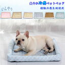 【時間限定10%OFF】ペットベッド ひんやり 洗える 夏用 クール ペット用 ソファベッド 室内 犬 イヌ いぬ 猫 ネコ ねこ 小型犬 春夏 涼しい 冷たい つめたい 接触冷感 犬用 猫用 犬用ベッド 猫用ベッド マット かわいい おしゃれ 40*31CM