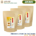 【送料無料】茶三代一 蒸し生姜湯 高麗人参配合 16g×14包×3