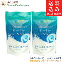 ヤカベ フレーキー シーソルト 100g 2袋セット ポスト直送便(メール便)お届け指定 代金引換不可