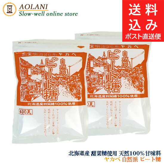 ビート糖 400g 2袋セット 北海道産 てんさい糖 砂糖 グラニュー糖 ポスト直送便（メール便）お届け指定 代金引換不可